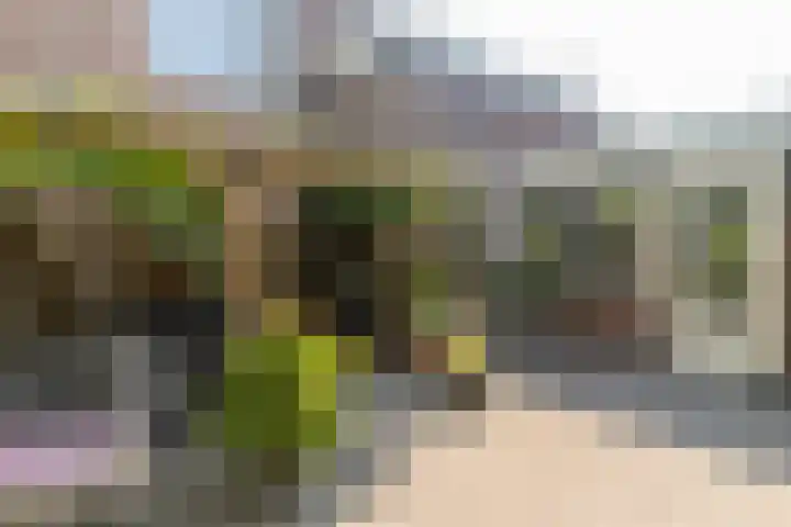 Mahatma Gandhistraat 106 in Den Haag