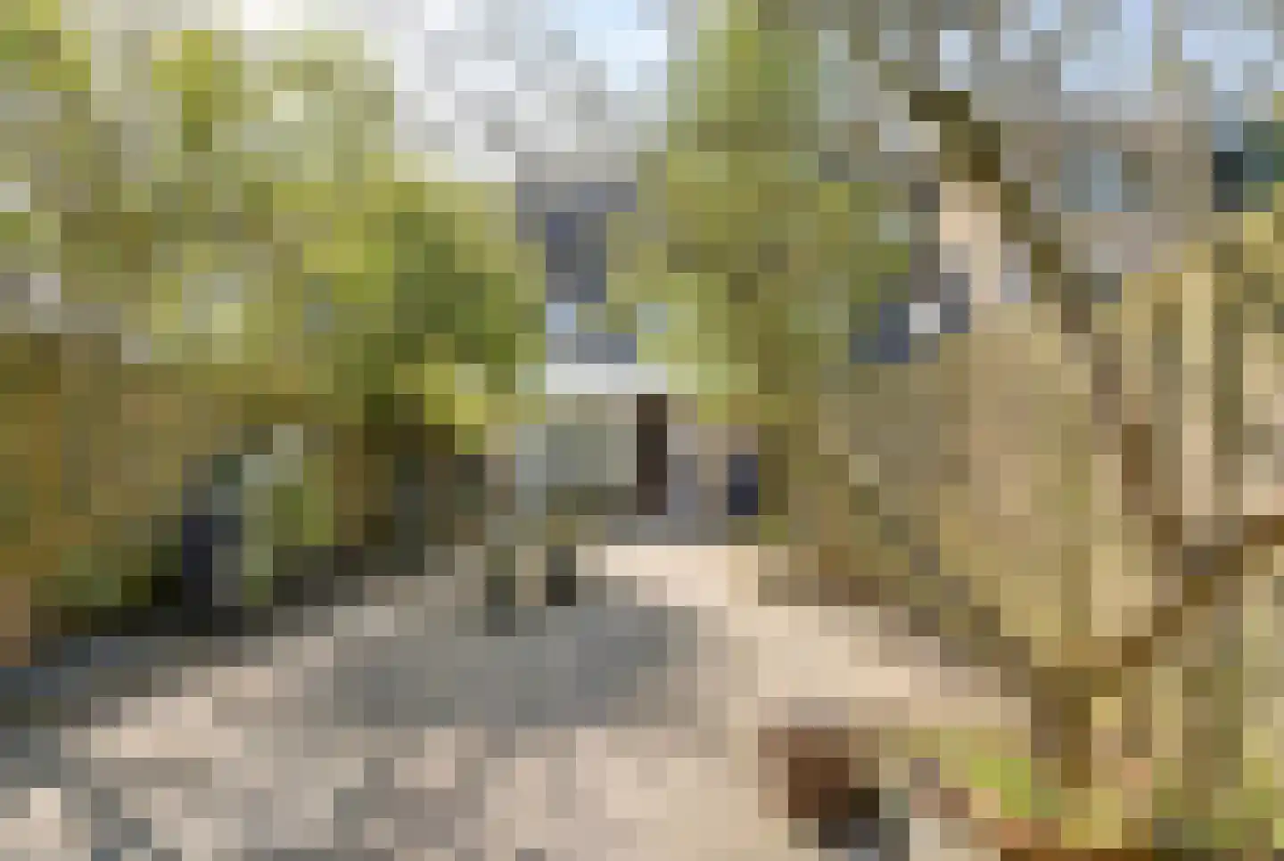 Mahatma Gandhistraat 15 Purmerend thumbnail 27