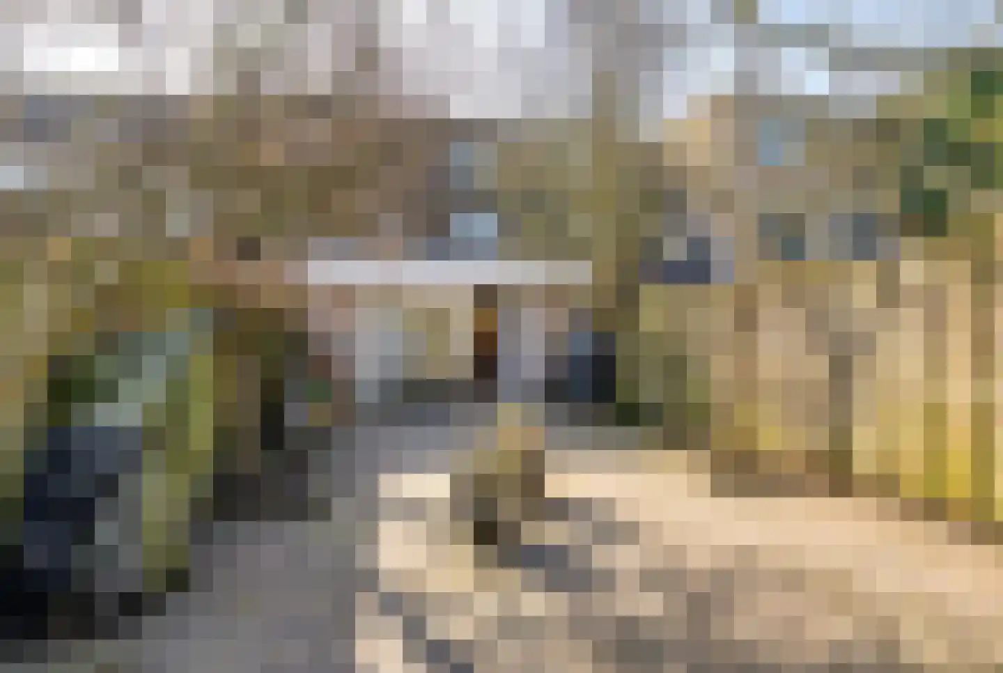 Mahatma Gandhistraat 15 Purmerend thumbnail 28