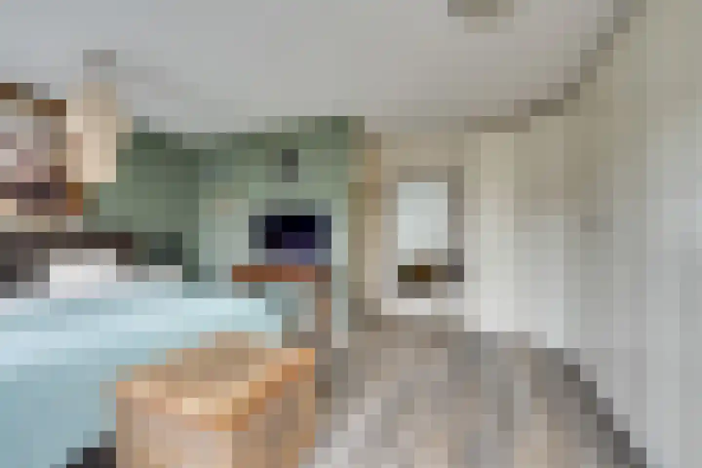 Mahatma Gandhistraat 15 Purmerend thumbnail 35
