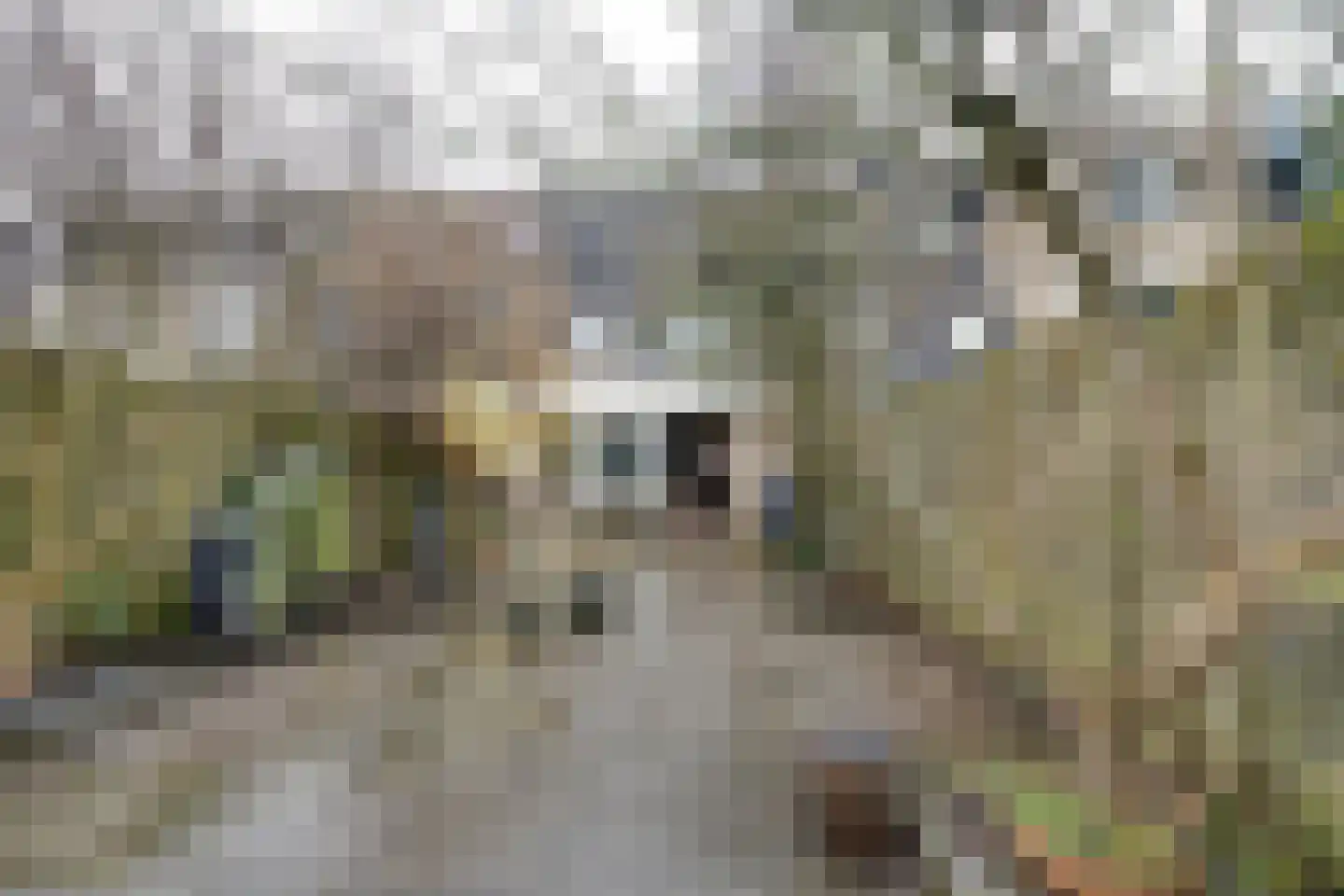 Mahatma Gandhistraat 15 Purmerend thumbnail 54