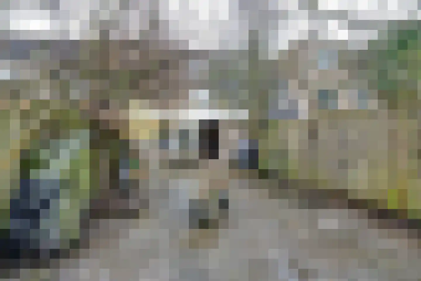 Mahatma Gandhistraat 15 Purmerend thumbnail 55