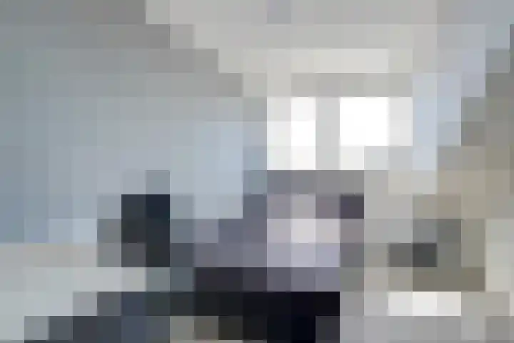 Mahatma Gandhistraat 2 's-Gravenzande thumbnail 15