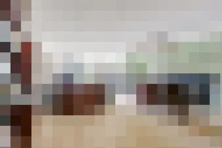 Mahatma Gandhistraat 2 's-Gravenzande thumbnail 6