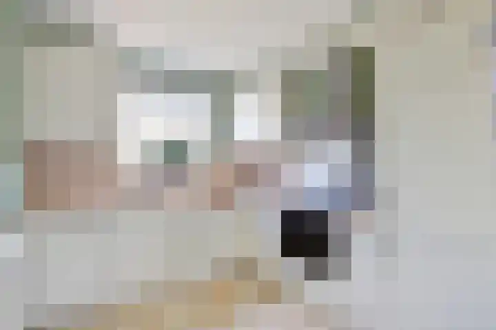 Mahatma Gandhistraat 2 's-Gravenzande thumbnail 9