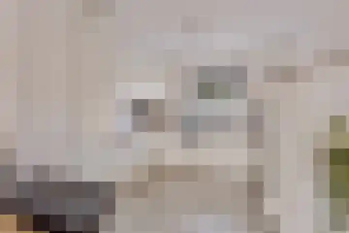 Mahatma Gandhistraat 26 Purmerend thumbnail 17