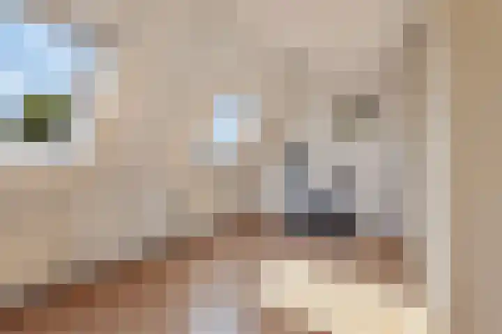 Mahatma Gandhistraat 26 Purmerend thumbnail 22