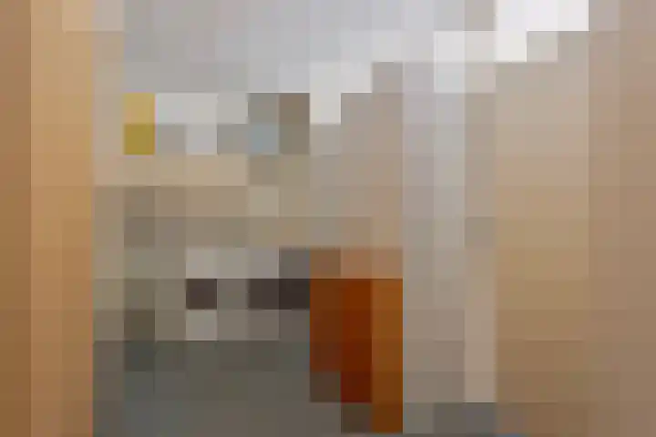 Mahatma Gandhistraat 26 Purmerend thumbnail 25