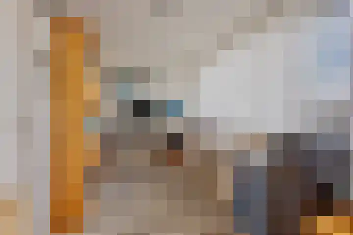 Mahatma Gandhistraat 26 Purmerend thumbnail 27