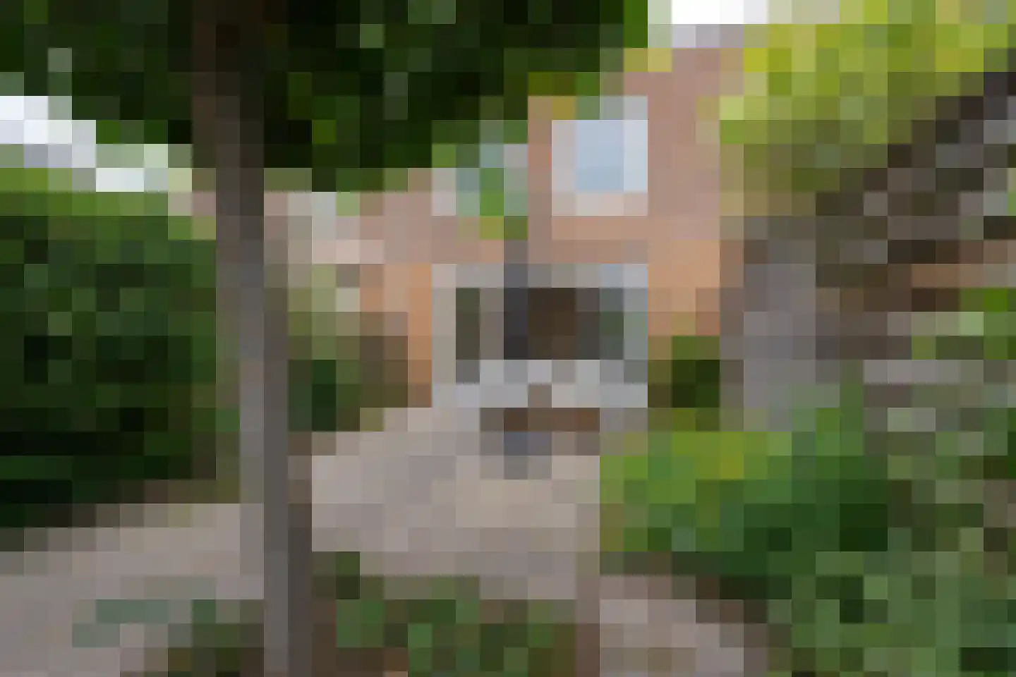 Mahatma Gandhistraat 46 Purmerend thumbnail 22