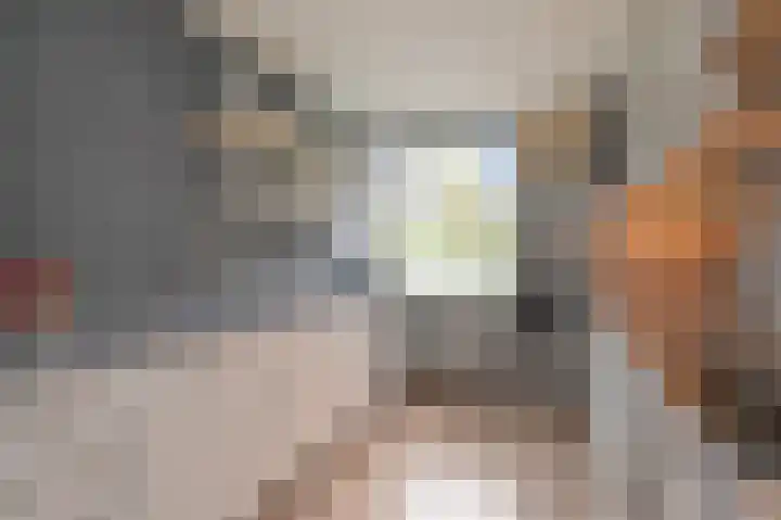 Mahatma Gandhistraat 64 Den Haag thumbnail 5