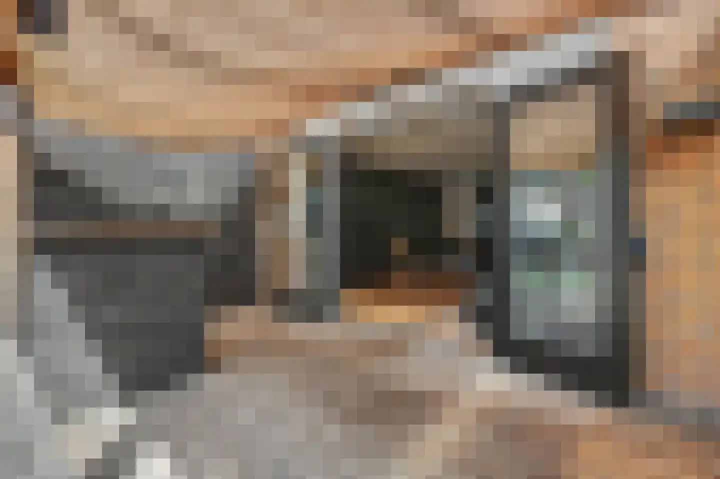 Mahatma Gandhistraat 64 Purmerend thumbnail 36