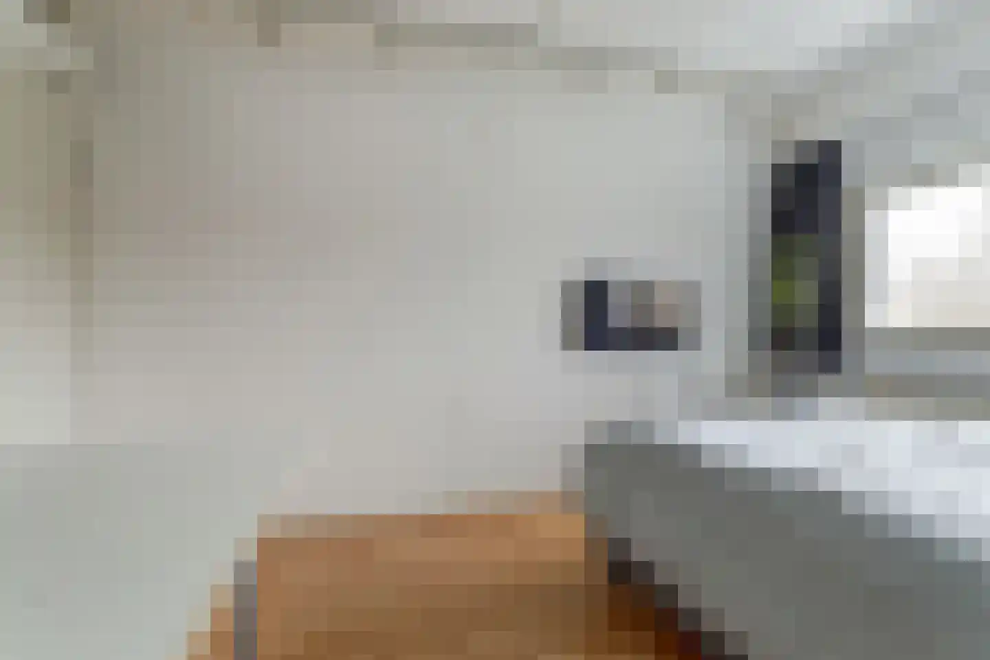 Mahatma Gandhiweg 11 Arnhem thumbnail 22