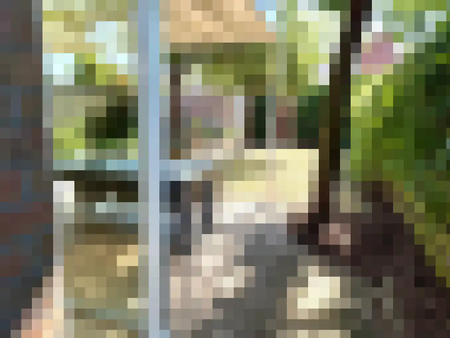 Mahatma Gandhiweg 11 Arnhem thumbnail 22