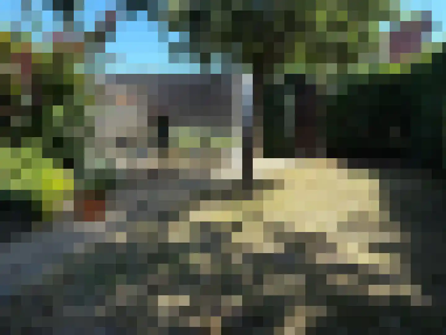 Mahatma Gandhiweg 11 Arnhem thumbnail 23