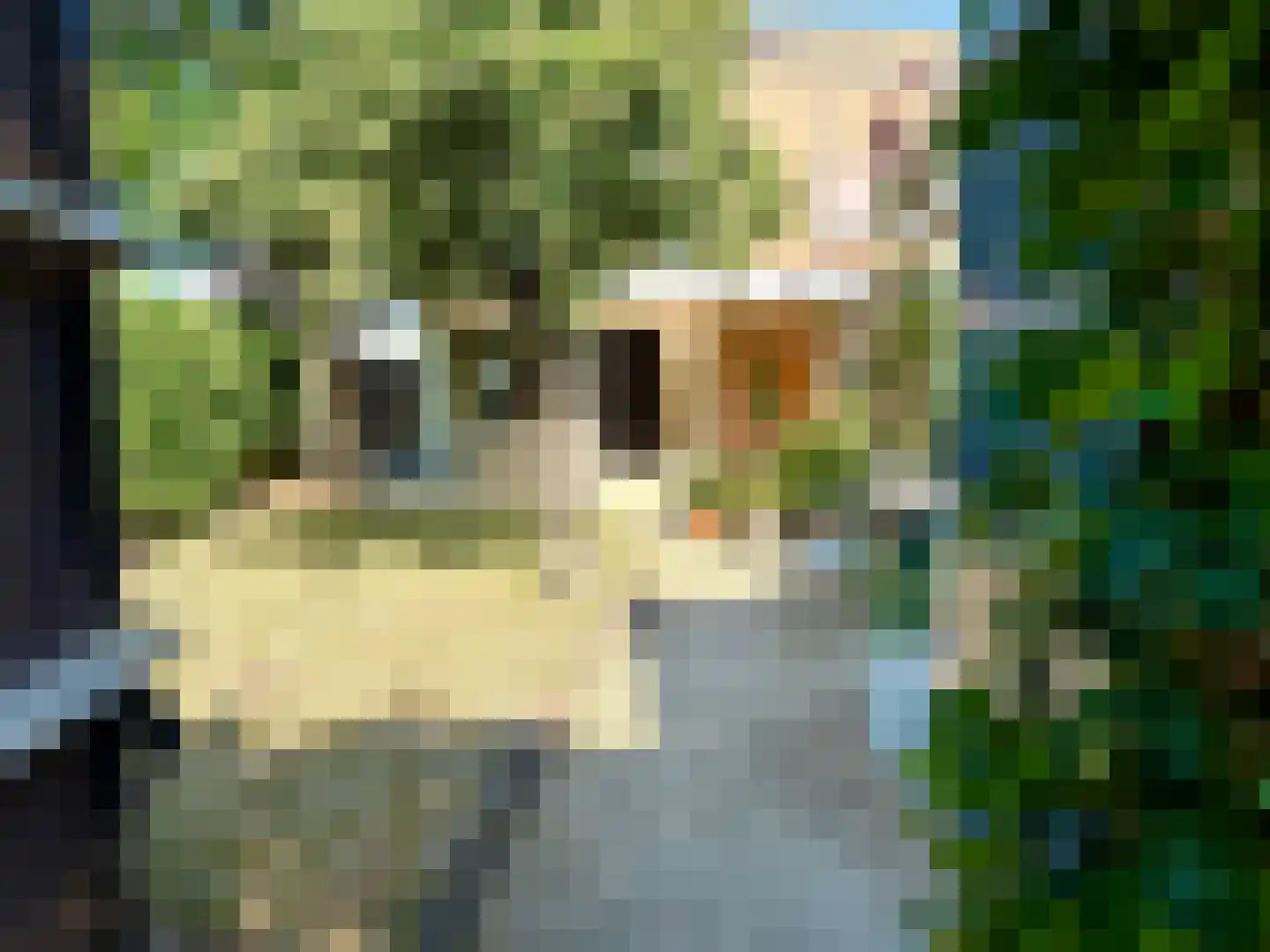 Mahatma Gandhiweg 11 Arnhem thumbnail 24