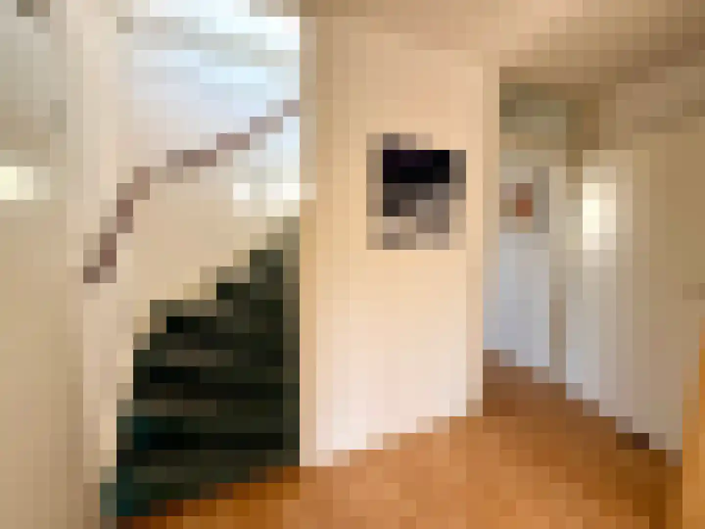 Mahatma Gandhiweg 11 Arnhem thumbnail 26