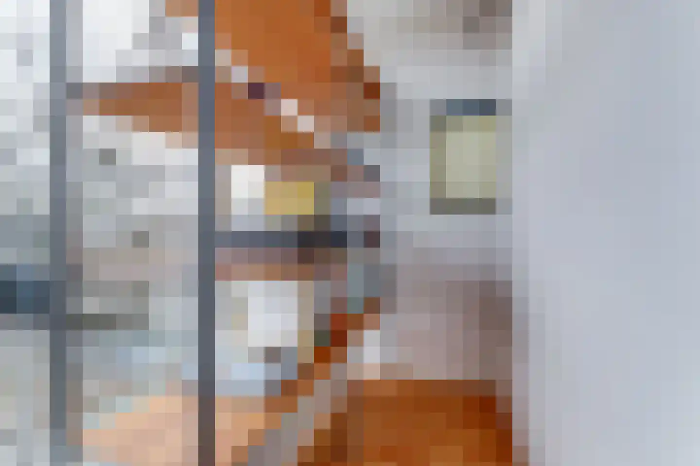 Mahatma Gandhiweg 11 Arnhem thumbnail 39