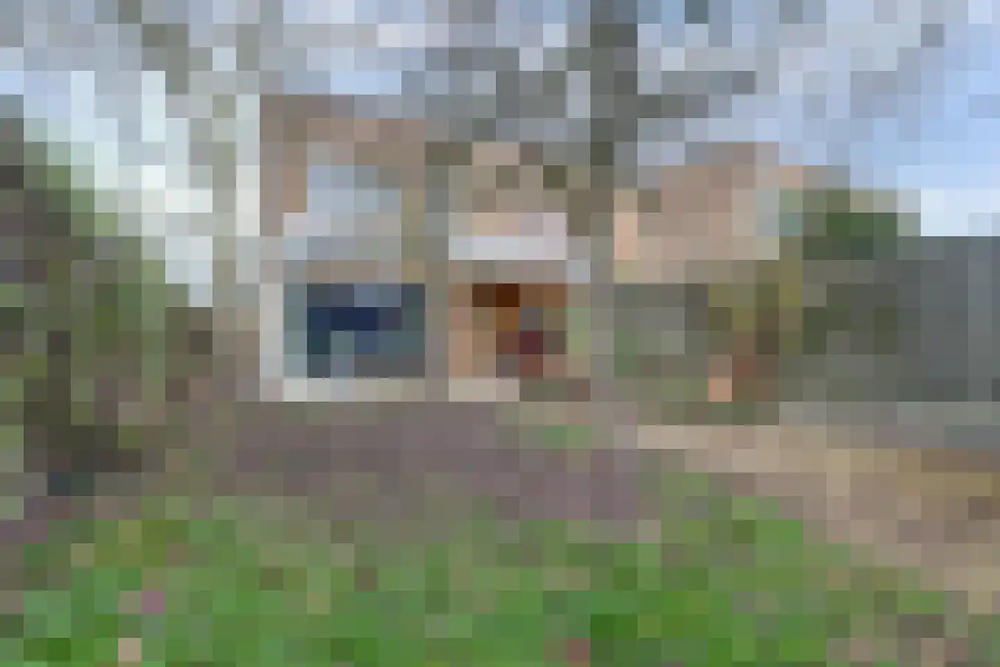 Mahatma Gandhiweg 11 Arnhem thumbnail 47