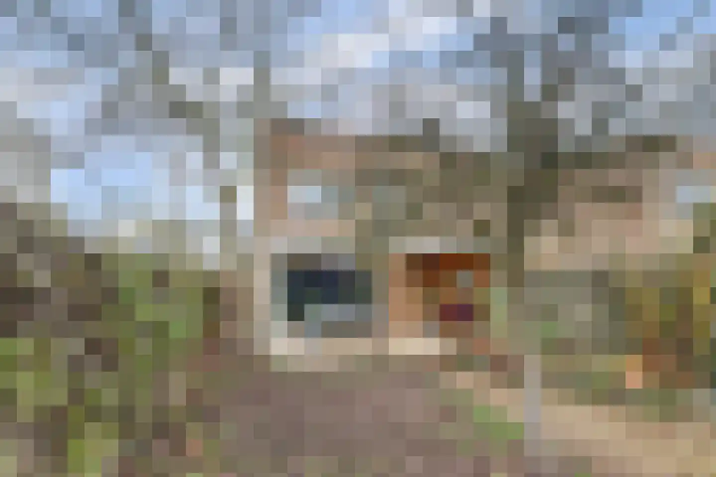 Mahatma Gandhiweg 11 Arnhem thumbnail 48