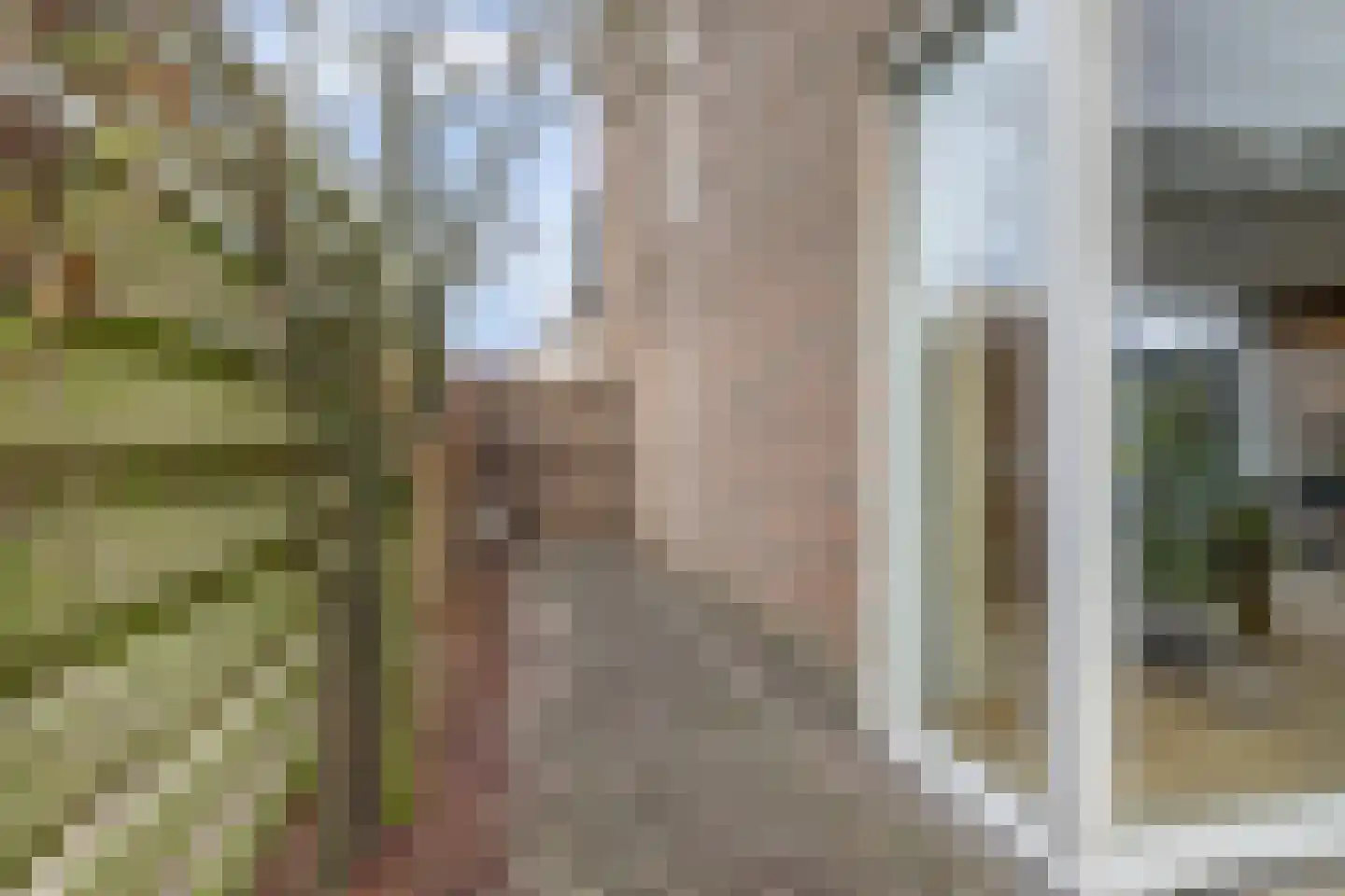 Mahatma Gandhiweg 11 Arnhem thumbnail 49