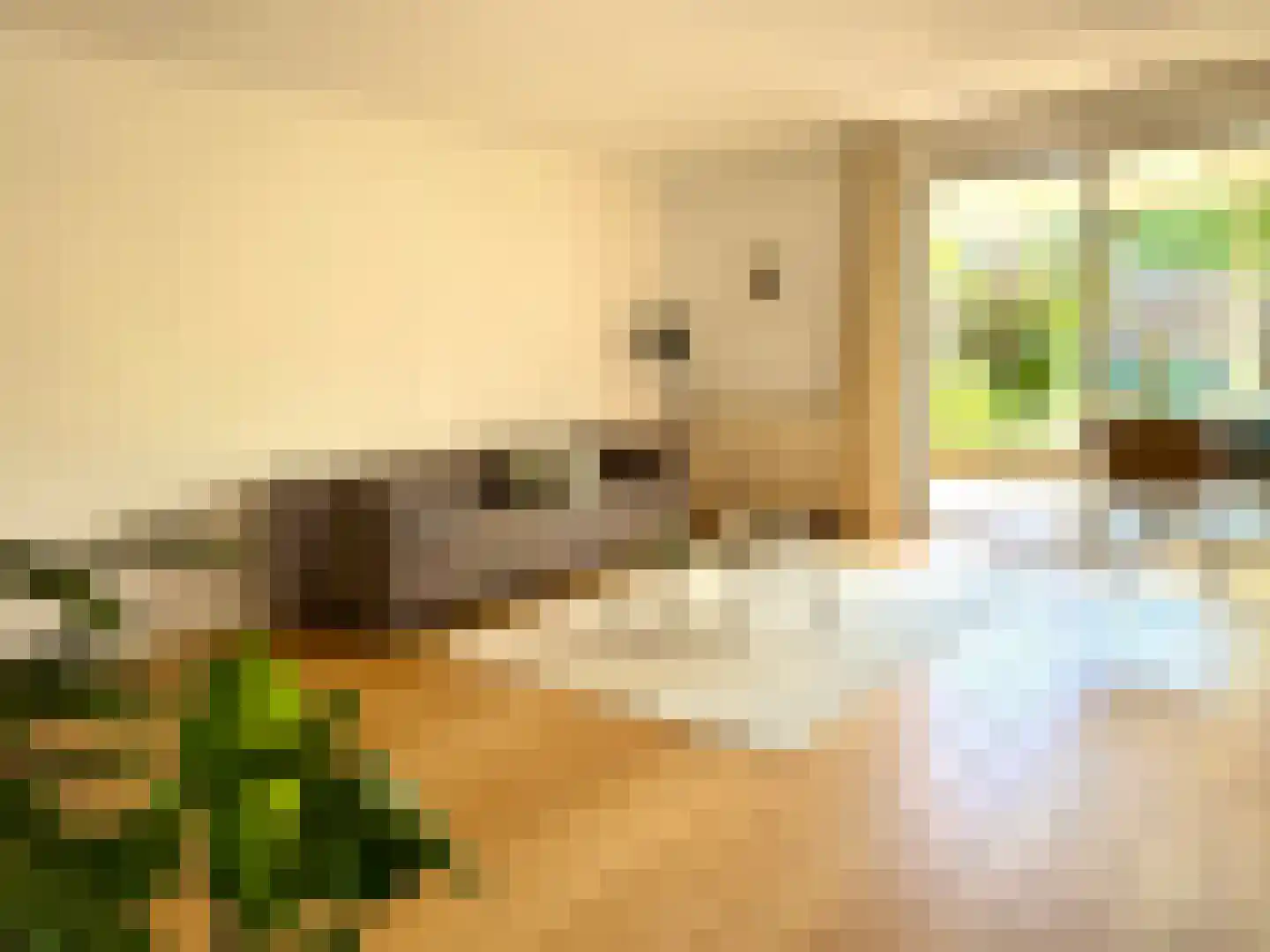 Mahatma Gandhiweg 11 Arnhem thumbnail 5