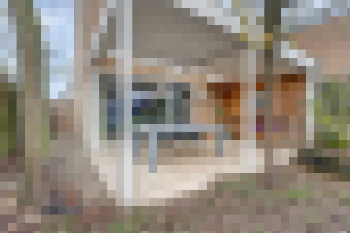 Mahatma Gandhiweg 11 Arnhem thumbnail 50