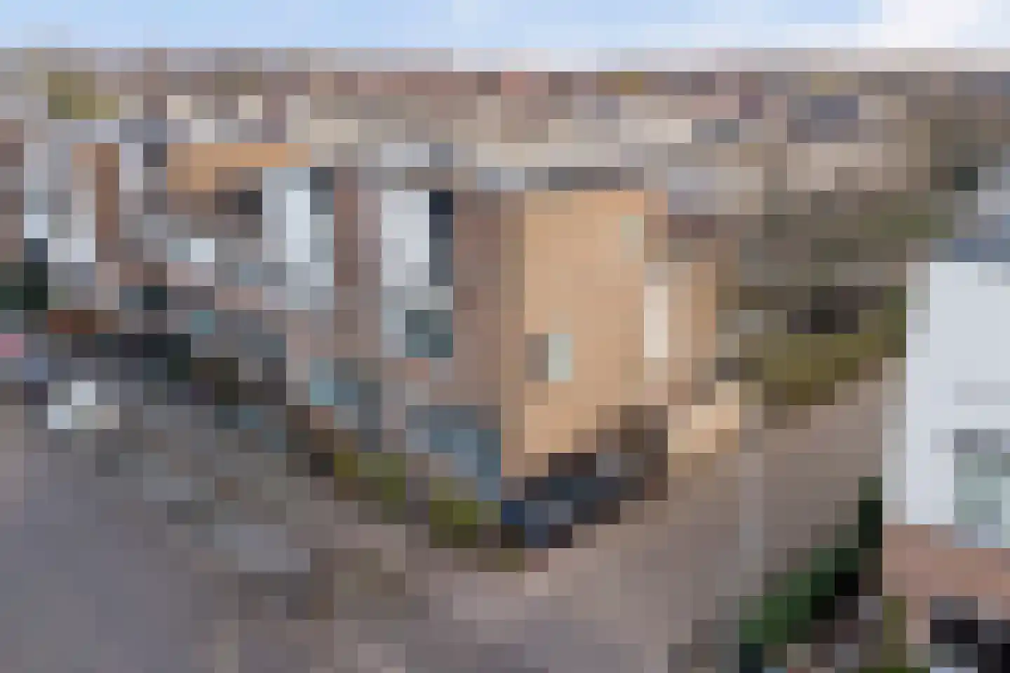 Mahatma Gandhiweg 11 Arnhem thumbnail 54