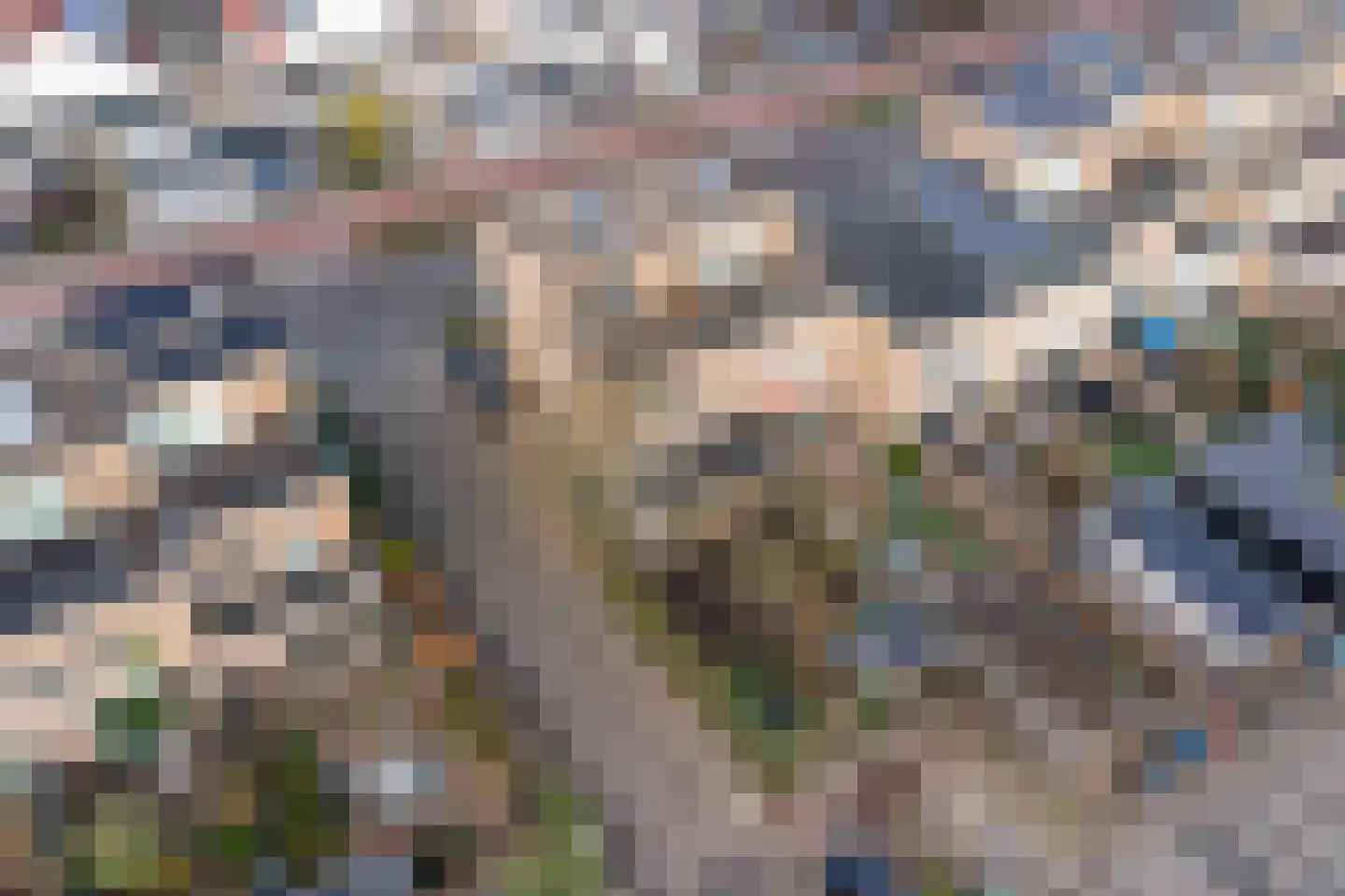 Mahatma Gandhiweg 11 Arnhem thumbnail 56