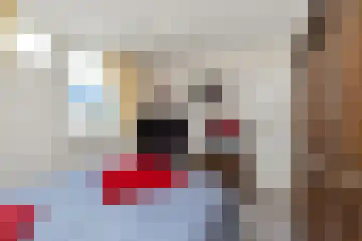 Mahatma Gandhiweg 114 Muntendam thumbnail 30