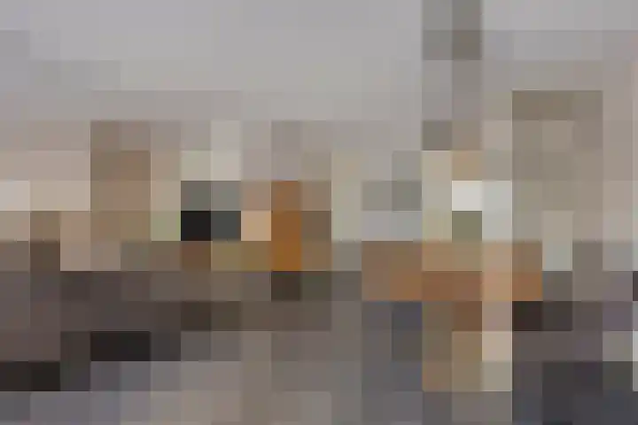 Mahatma Gandhiweg 14 Arnhem thumbnail 11