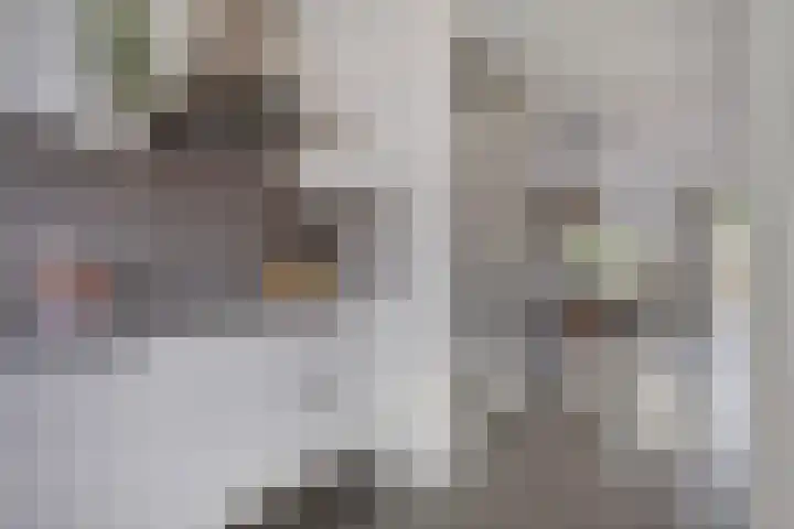 Mahatma Gandhiweg 14 Arnhem thumbnail 16