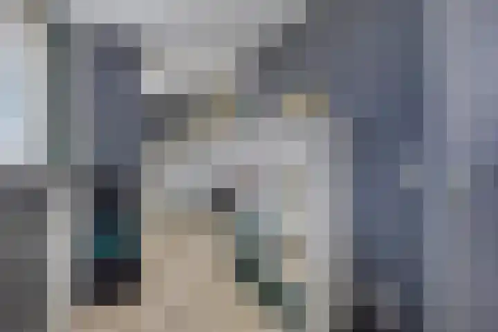 Mahatma Gandhiweg 14 Arnhem thumbnail 25