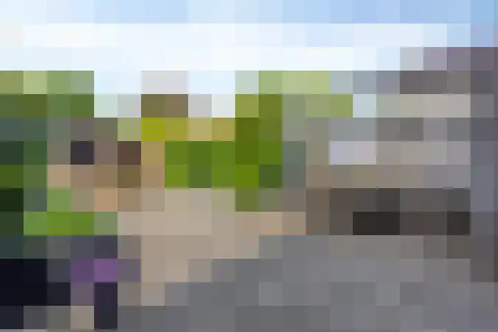 Mahatma Gandhiweg 14 Arnhem thumbnail 29