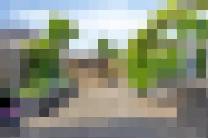 Mahatma Gandhiweg 14 Arnhem thumbnail 30