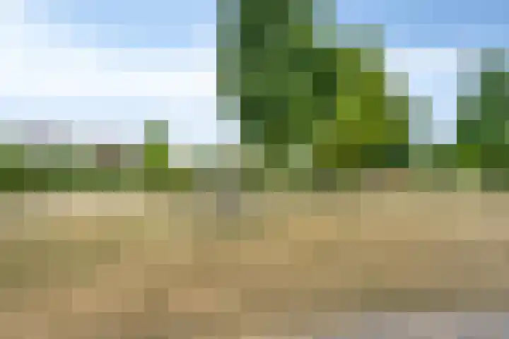 Mahatma Gandhiweg 14 Arnhem thumbnail 38