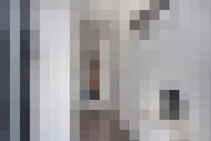 Mahatma Gandhiweg 14 Arnhem thumbnail 4
