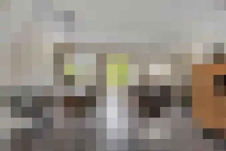 Mahatma Gandhiweg 14 Arnhem thumbnail 7