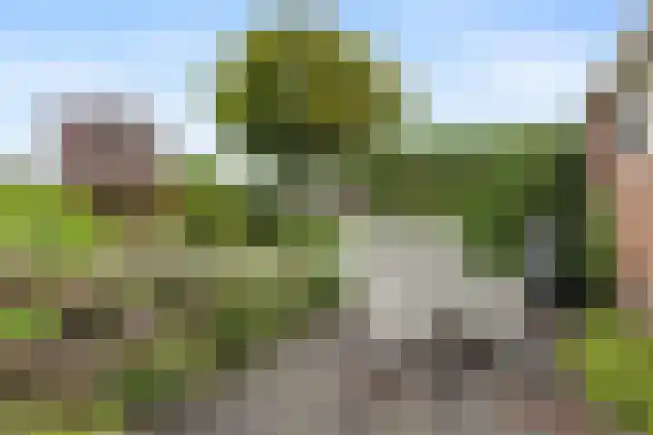 Mahatma Gandhiweg 17 Muntendam thumbnail 21