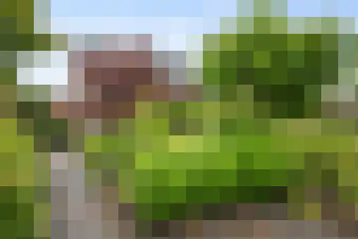 Mahatma Gandhiweg 17 Muntendam thumbnail 24