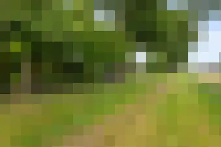 Mahatma Gandhiweg 17 Muntendam thumbnail 28