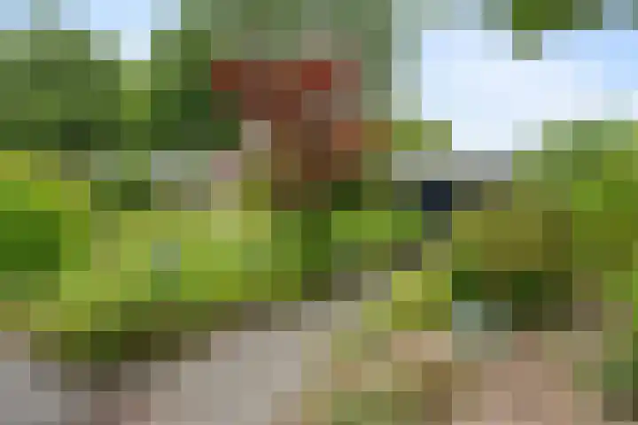 Mahatma Gandhiweg 17 Muntendam thumbnail 5