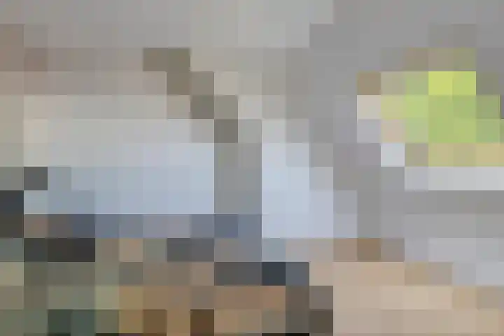 Mahatma Gandhiweg 19 Muntendam thumbnail 21