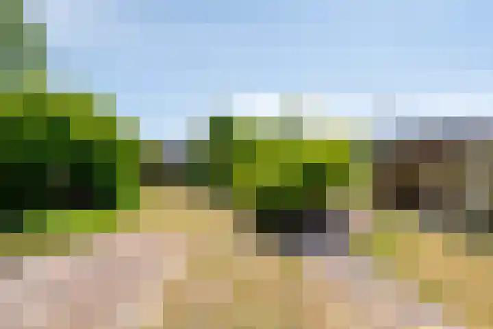 Mahatma Gandhiweg 19 Muntendam thumbnail 35