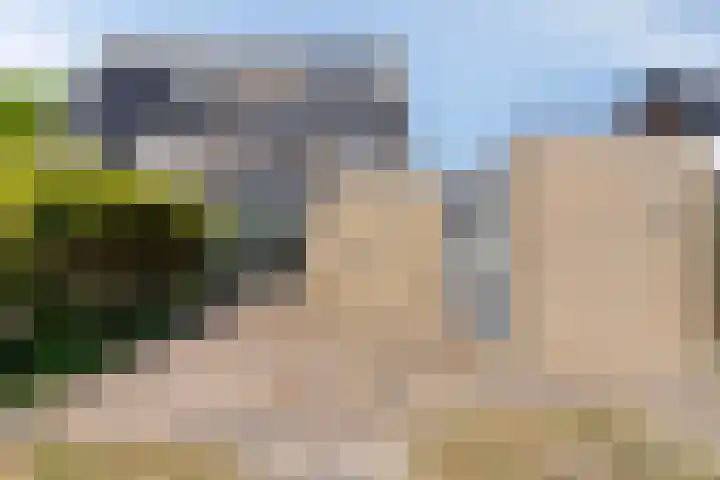 Mahatma Gandhiweg 19 Muntendam thumbnail 37