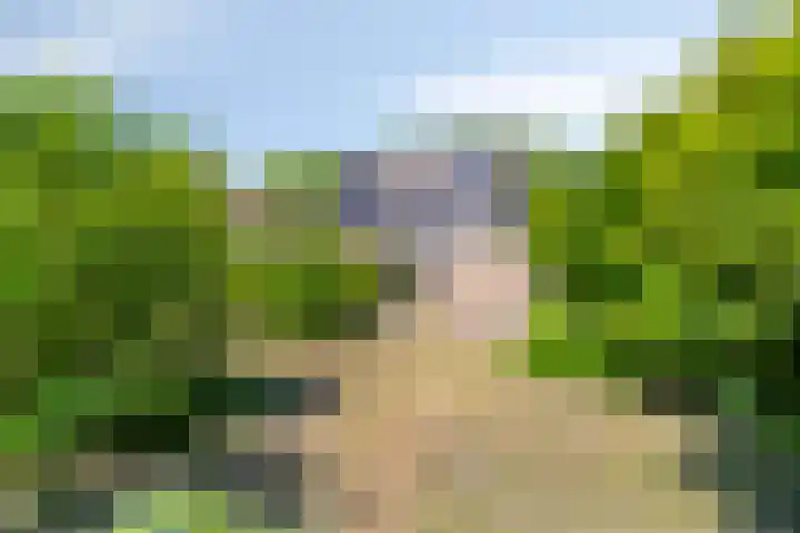 Mahatma Gandhiweg 19 Muntendam thumbnail 39