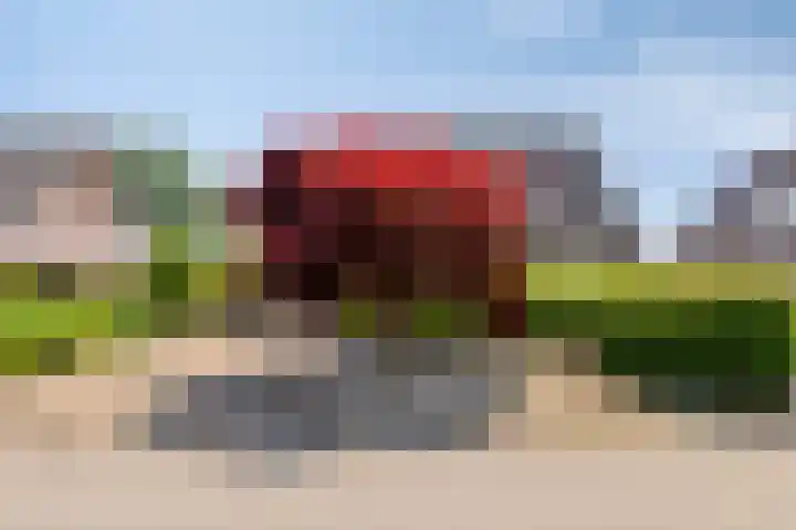 Mahatma Gandhiweg 19 Muntendam thumbnail 4
