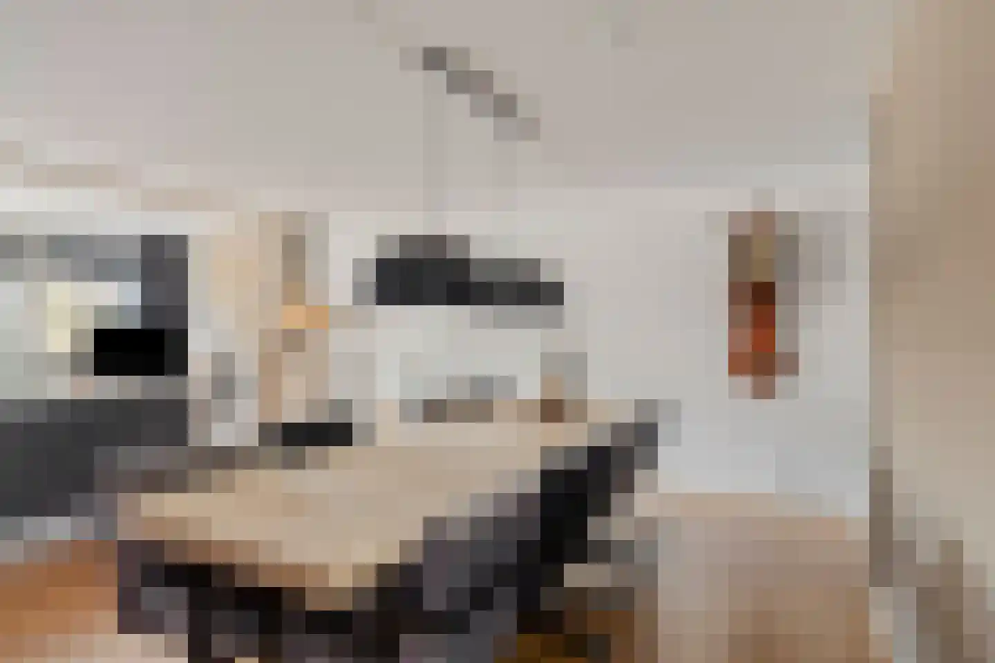 Mahatma Gandhiweg 25 Arnhem thumbnail 14