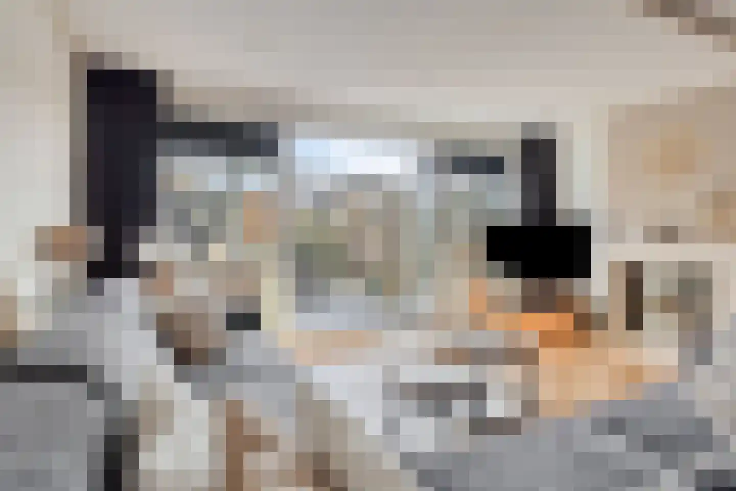 Mahatma Gandhiweg 25 Arnhem thumbnail 8