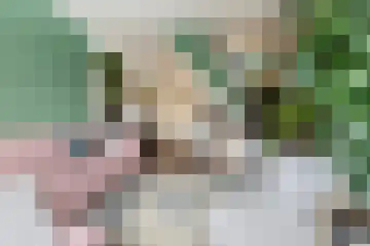 Mahatma Gandhiweg 49 Arnhem thumbnail 10